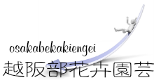 活動レポート